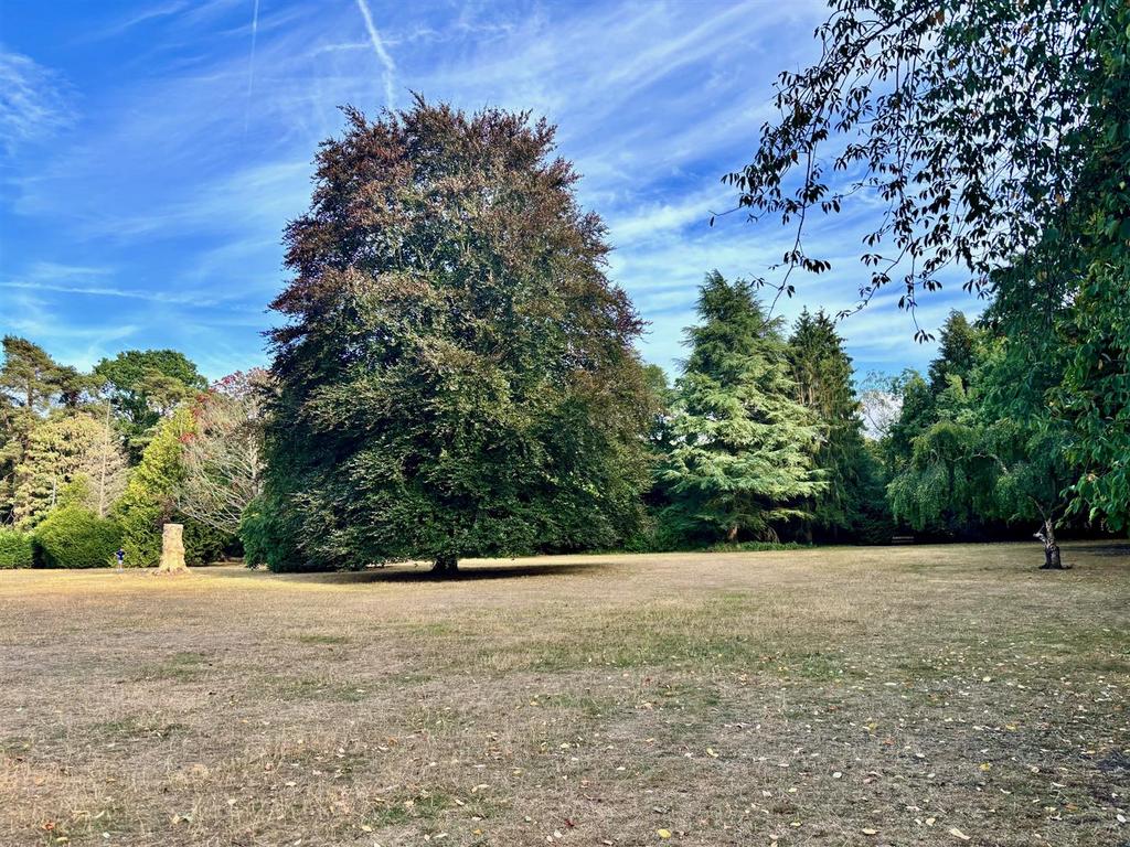 Nearby park.jpg