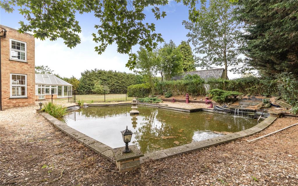 Pond