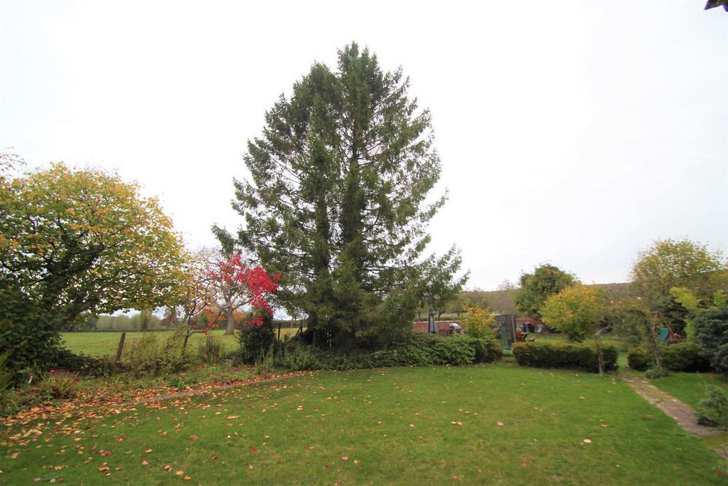 Garden5.JPG