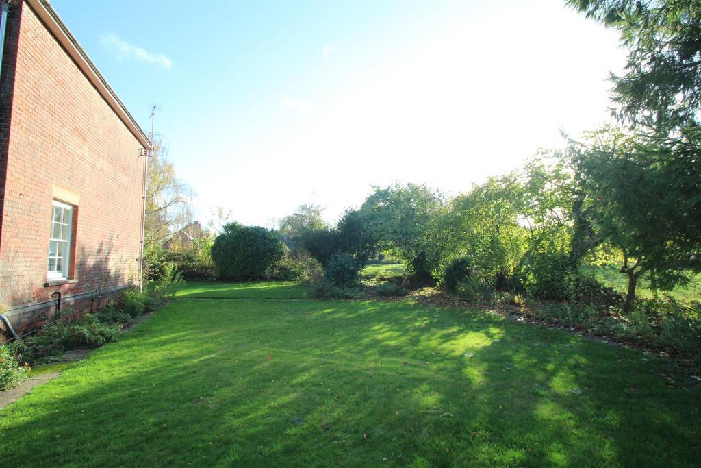 Garden 3.JPG