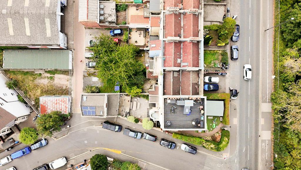Birdseye