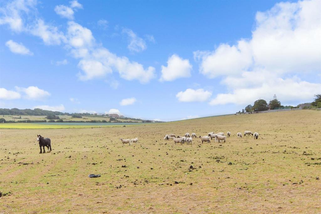 Surrounding Area