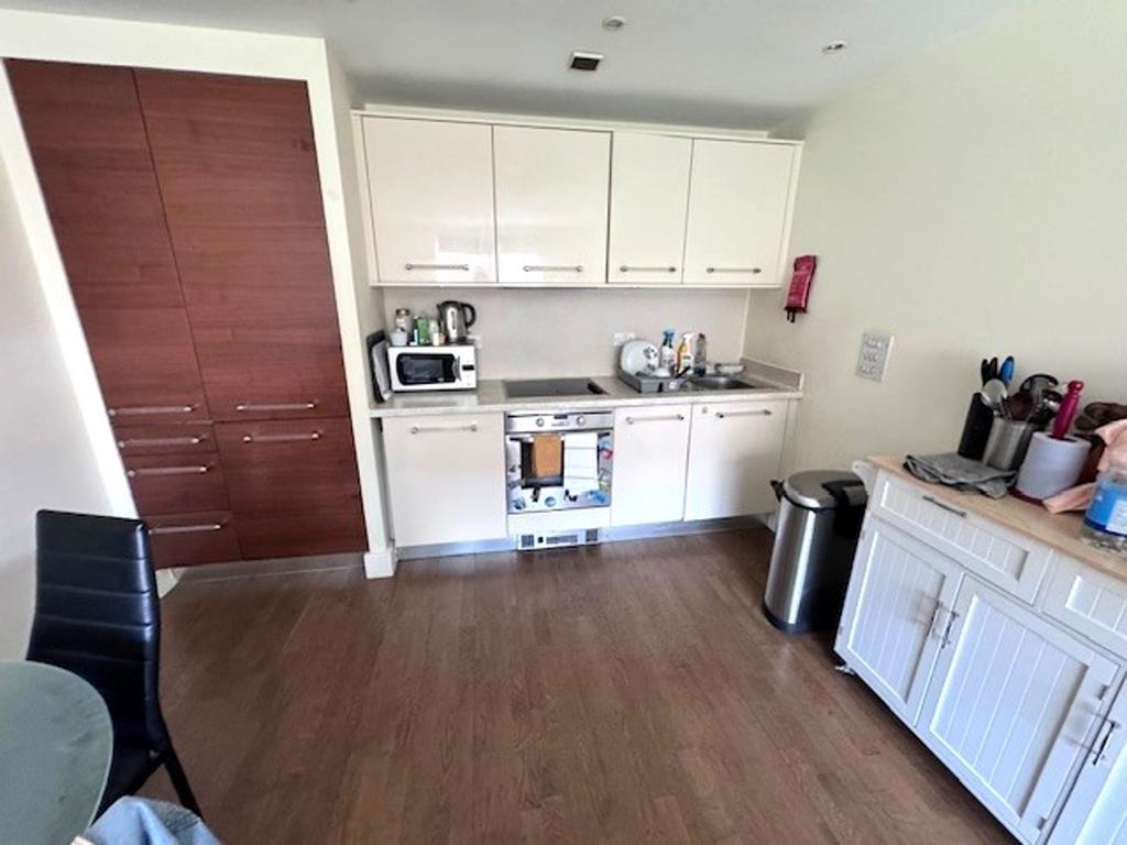 Kitchen/Living Area