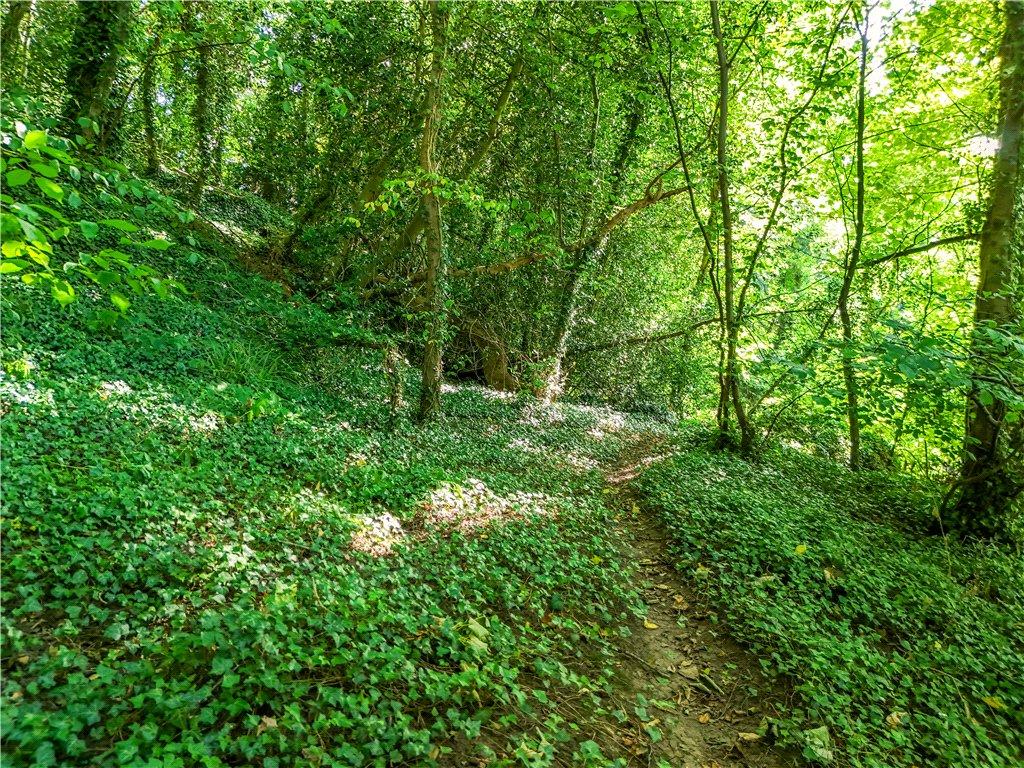 Woodland