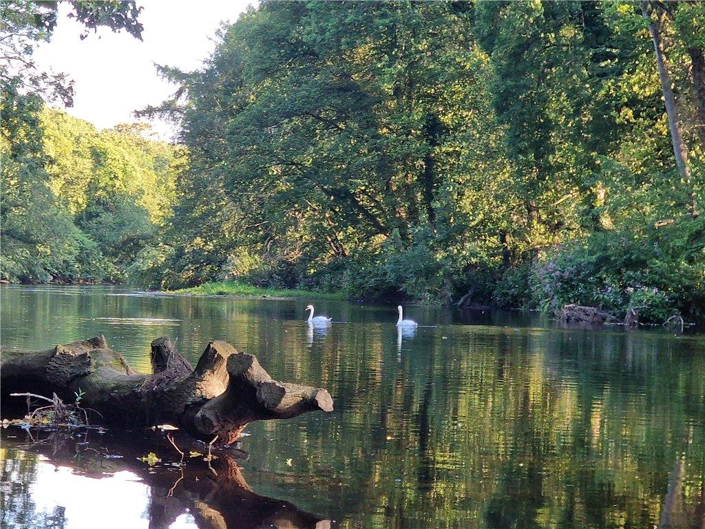 River Frontage