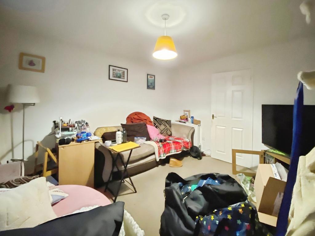 Picture 2