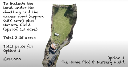 Option 1: home plot and nursery field