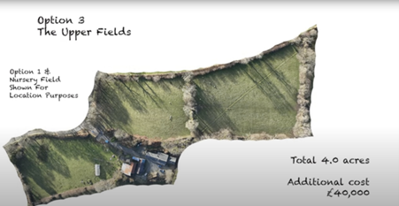 Option 3: the upper fields