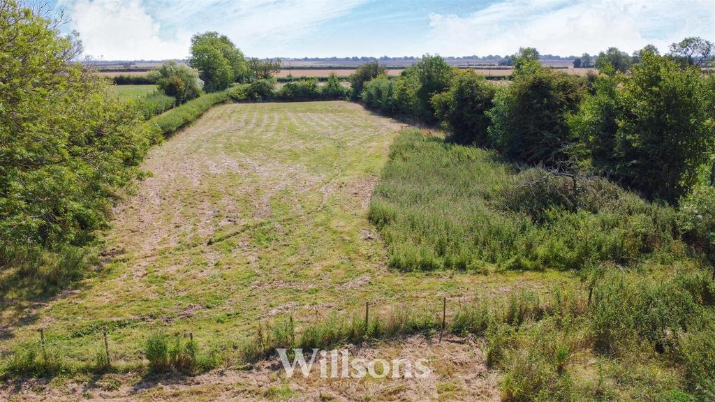 Grass Paddock