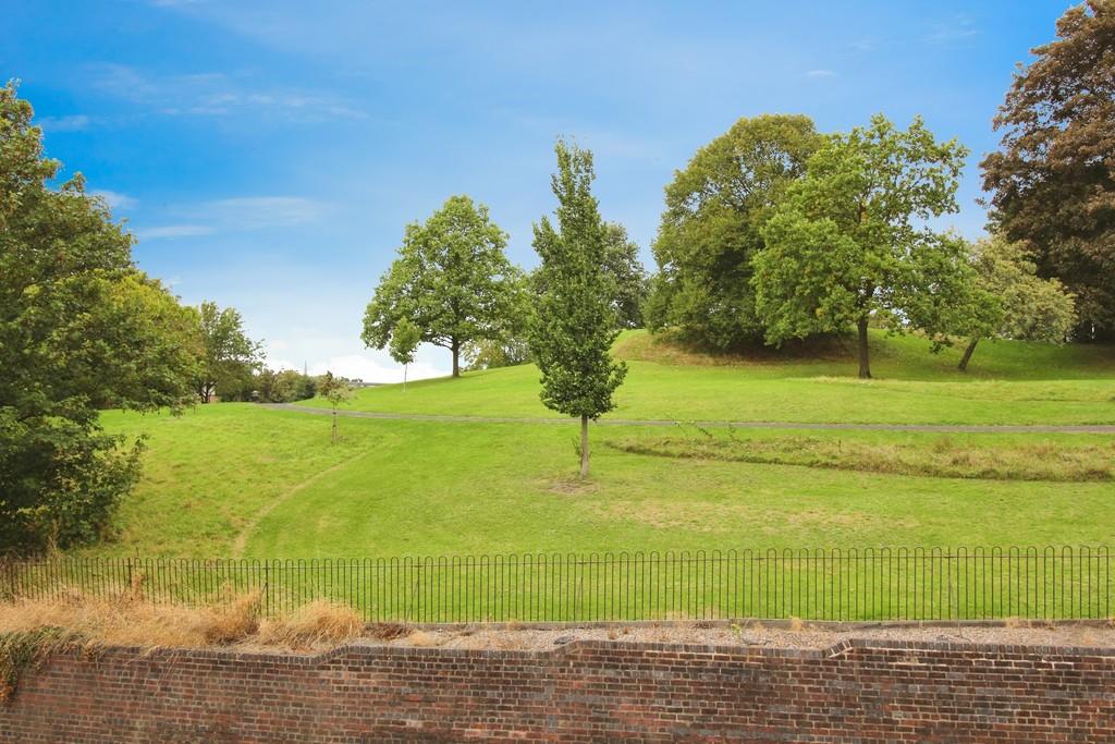 Park view