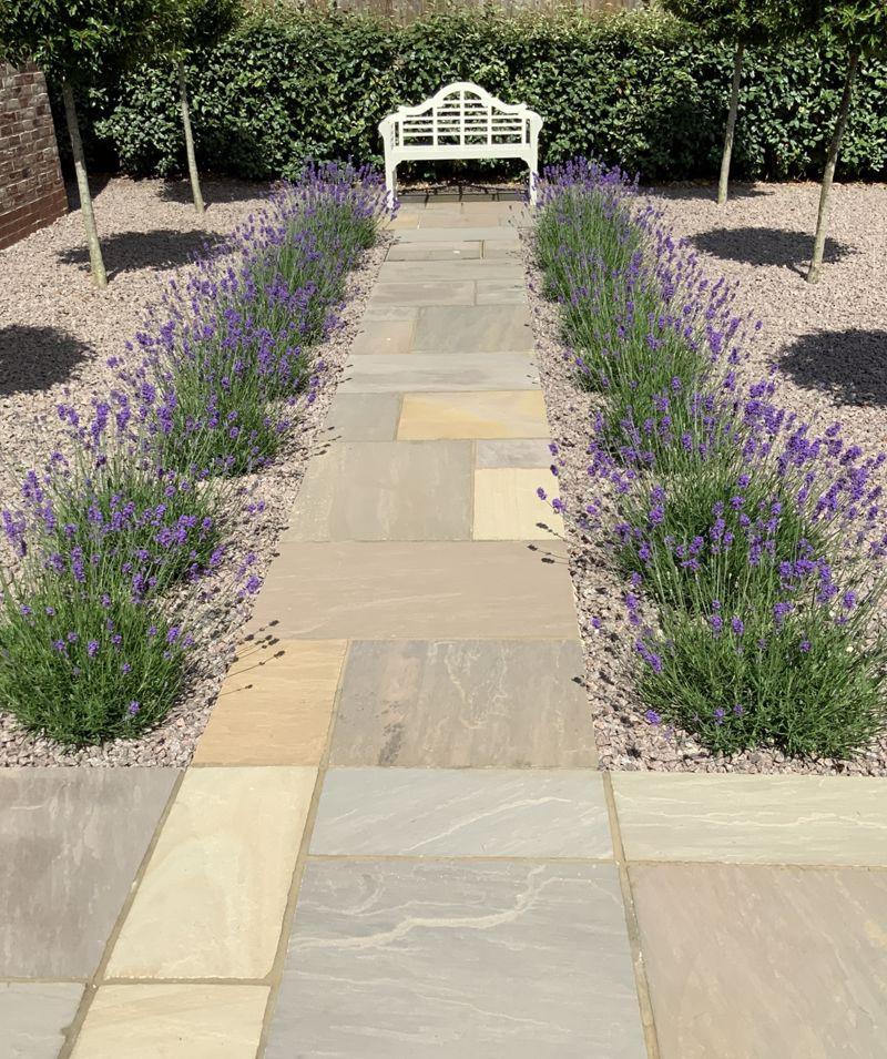 Lavender Walk