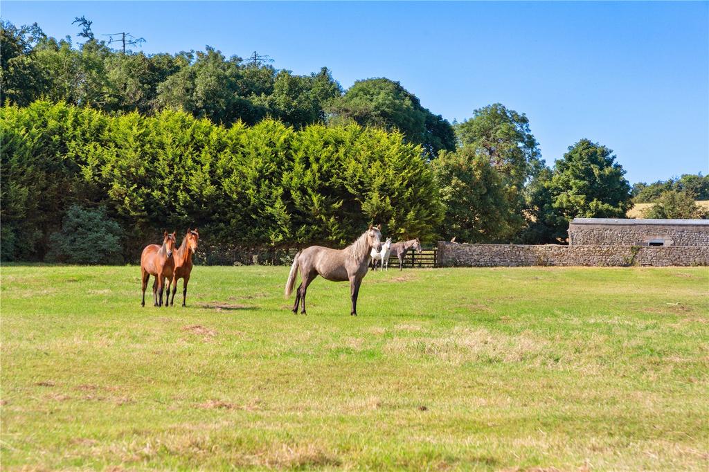 Lot 1