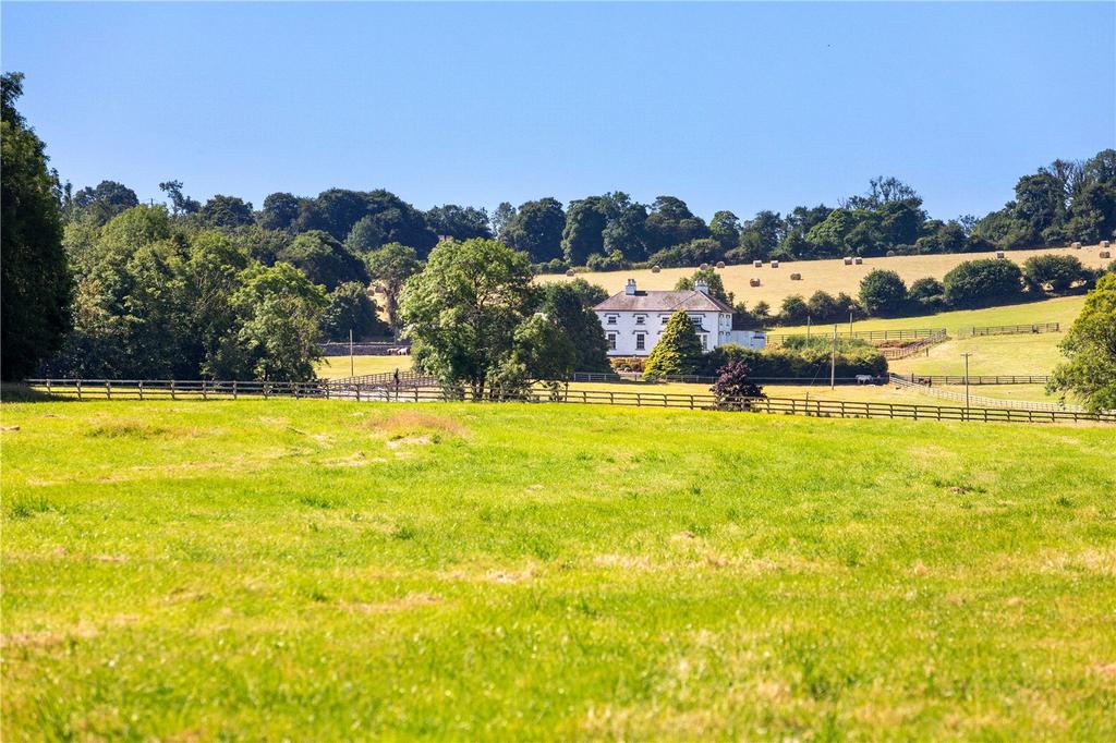 Lot 1
