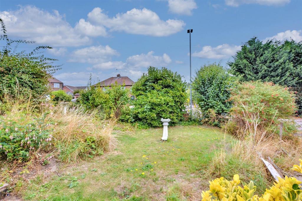 Garden (1).jpeg