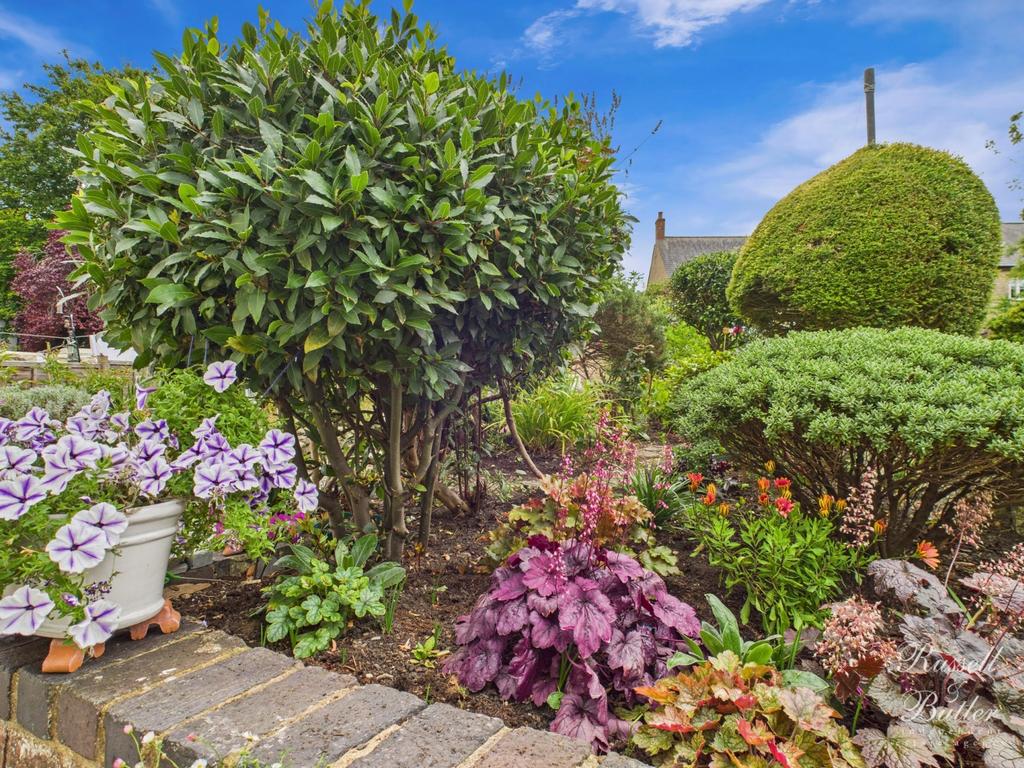 Cam01995 g0 pr0346 still040