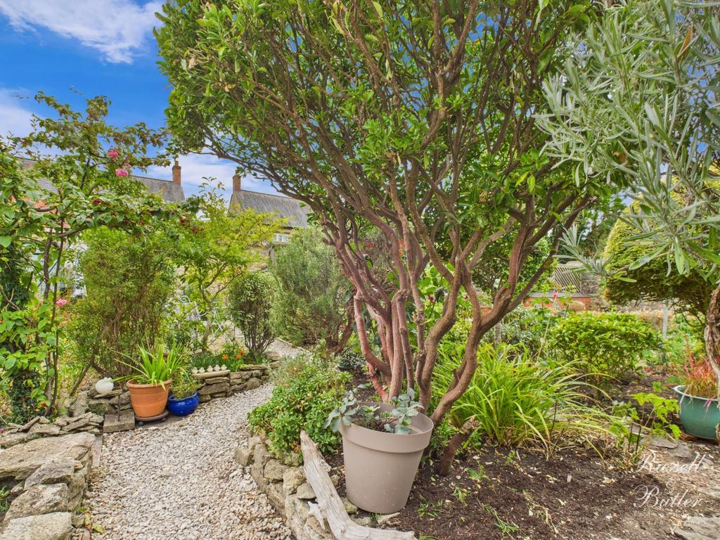 Cam01995 g0 pr0346 still042