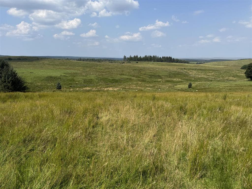 Img 4860.jpg