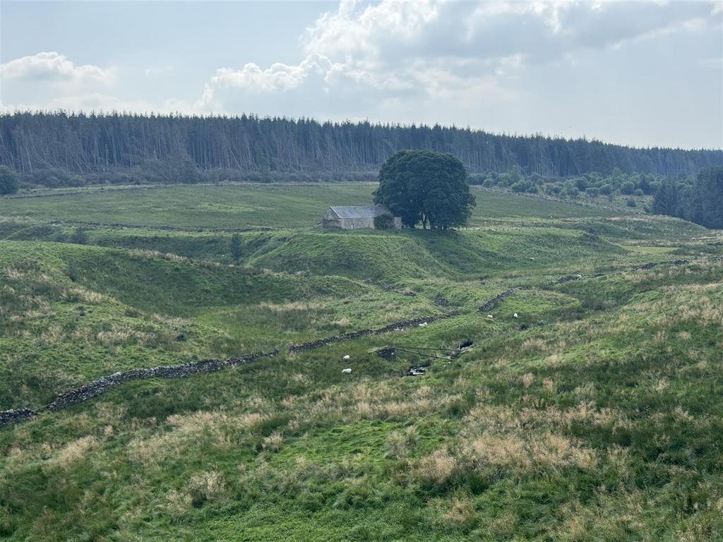 Img 4851.jpg