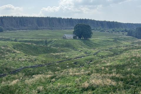 undefined, Land at Middleburn Farm, Simonburn