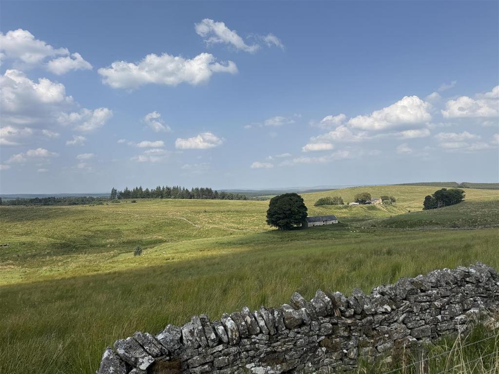 Img 4863.jpg