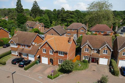 Nelson Walk, Epsom