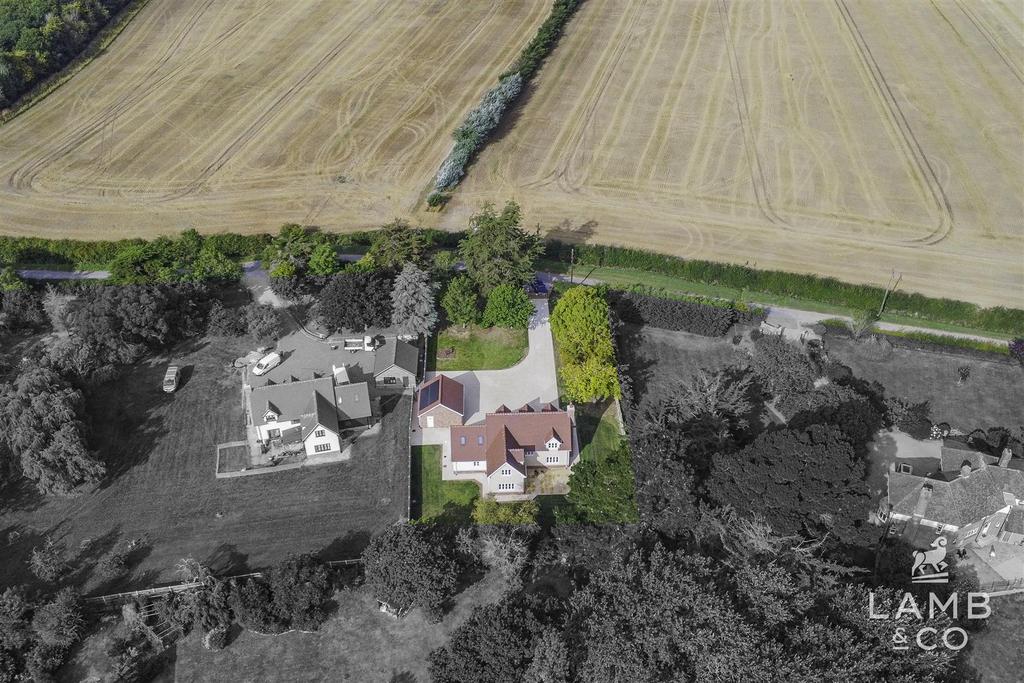 Dji 0281.jpg