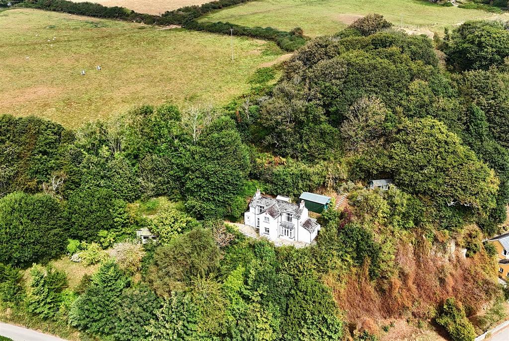 Drone View