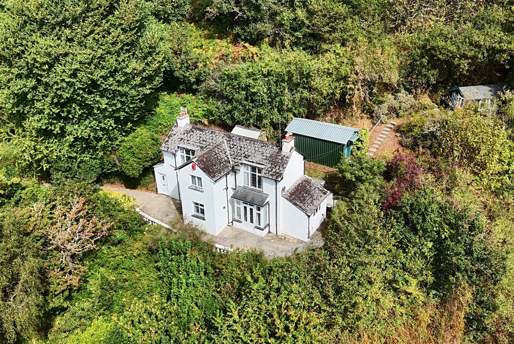 Drone View