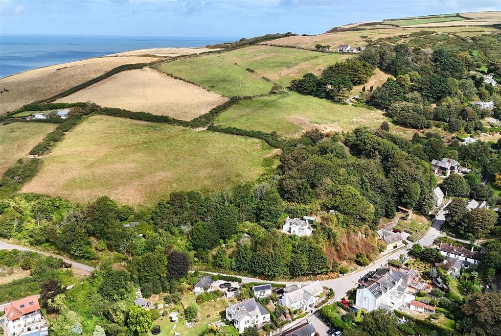 Drone View