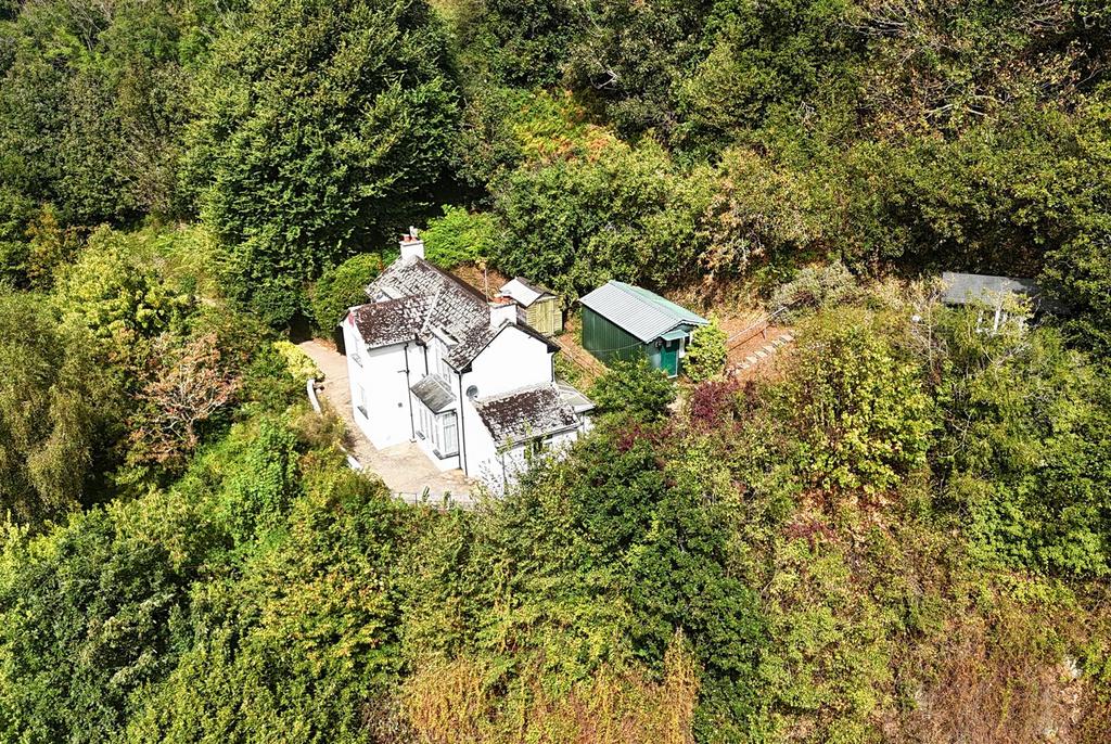 Drone View