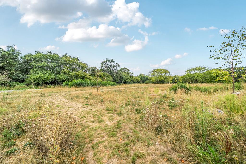 1345293-1-68aee13...