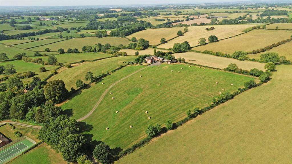 Dji 0551.jpg