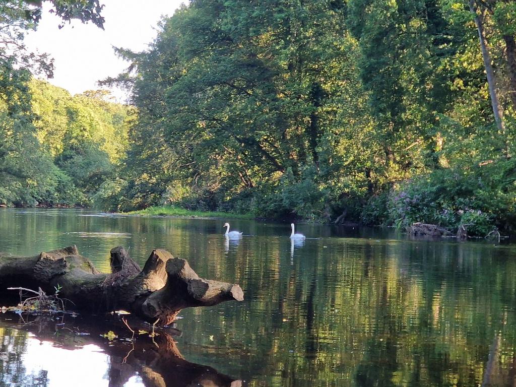 Picture No. 04