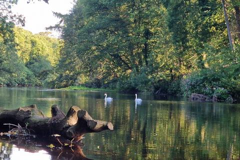 undefined, Riverbank Cottage, Over Dinsdale, North Yorkshire, DL2