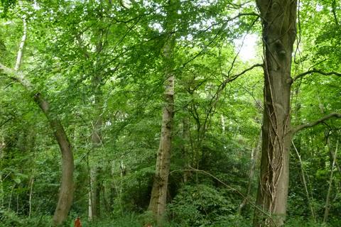 undefined, Stacklands Wood, West Kingsdown, Sevenoaks TN15