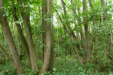 undefined, Stacklands Wood, West Kingsdown, Sevenoaks TN15