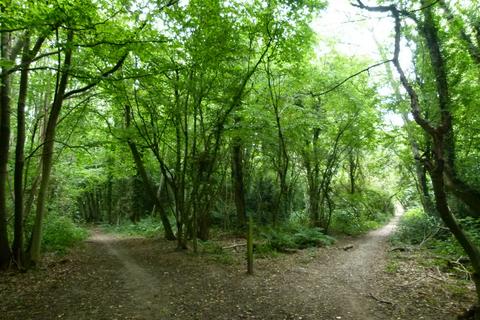 undefined, Stacklands Wood, West Kingsdown, Sevenoaks TN15
