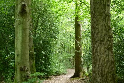 undefined, Stacklands Wood, West Kingsdown, Sevenoaks TN15