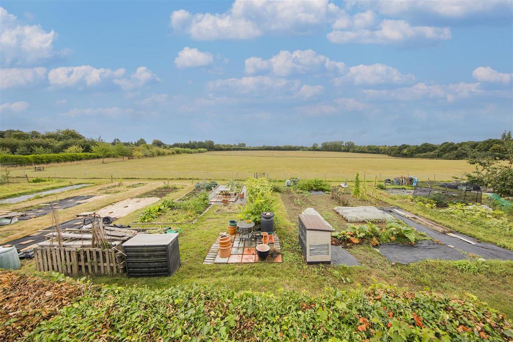 Farmland Walking to the Rear
