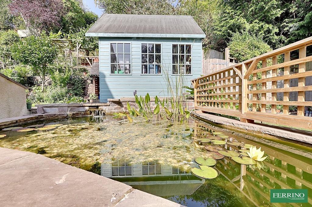 Pond