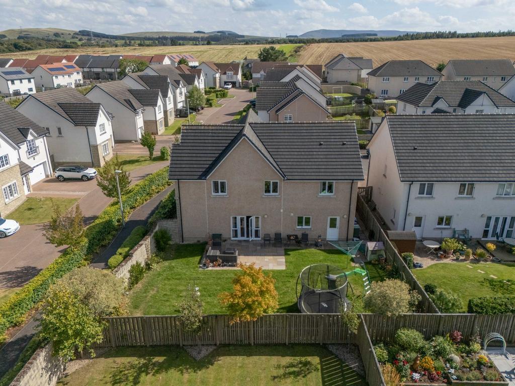 Aerial Rear