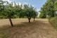 Additional image 33 of East Lyng, Taunton, TA3