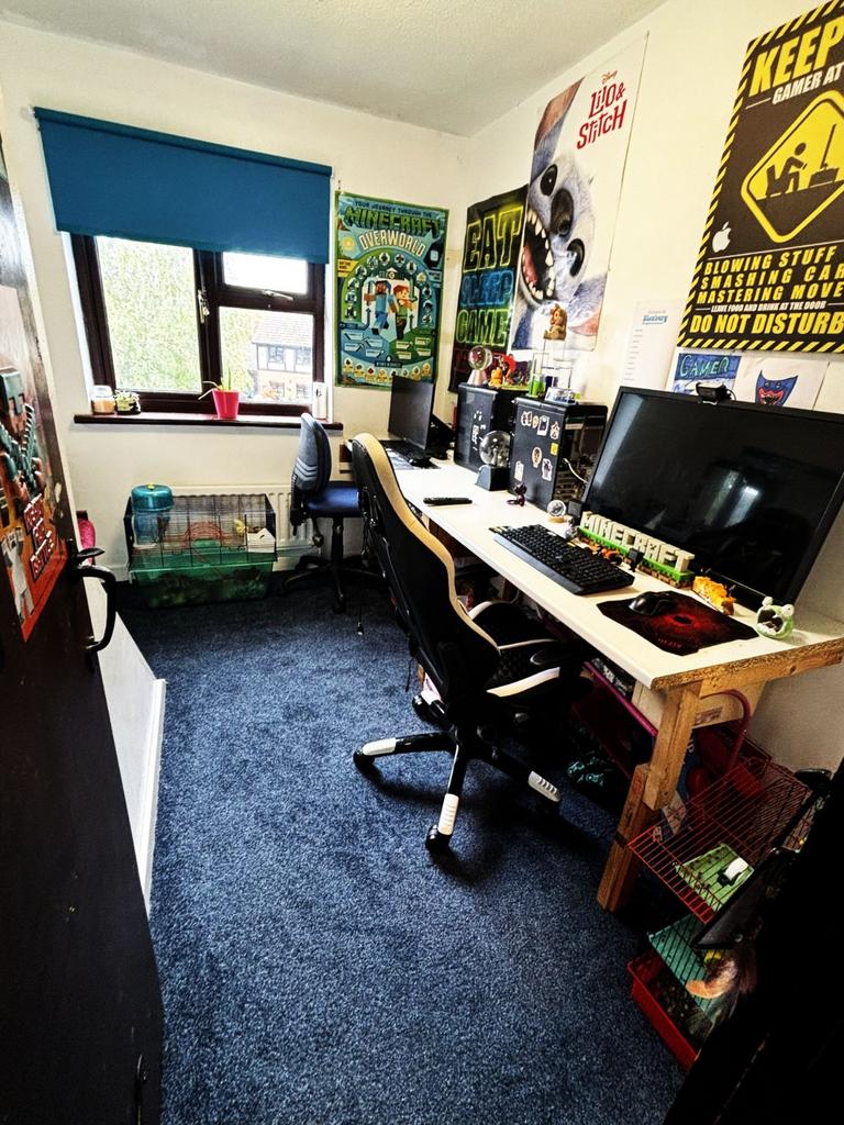 Picture 17
