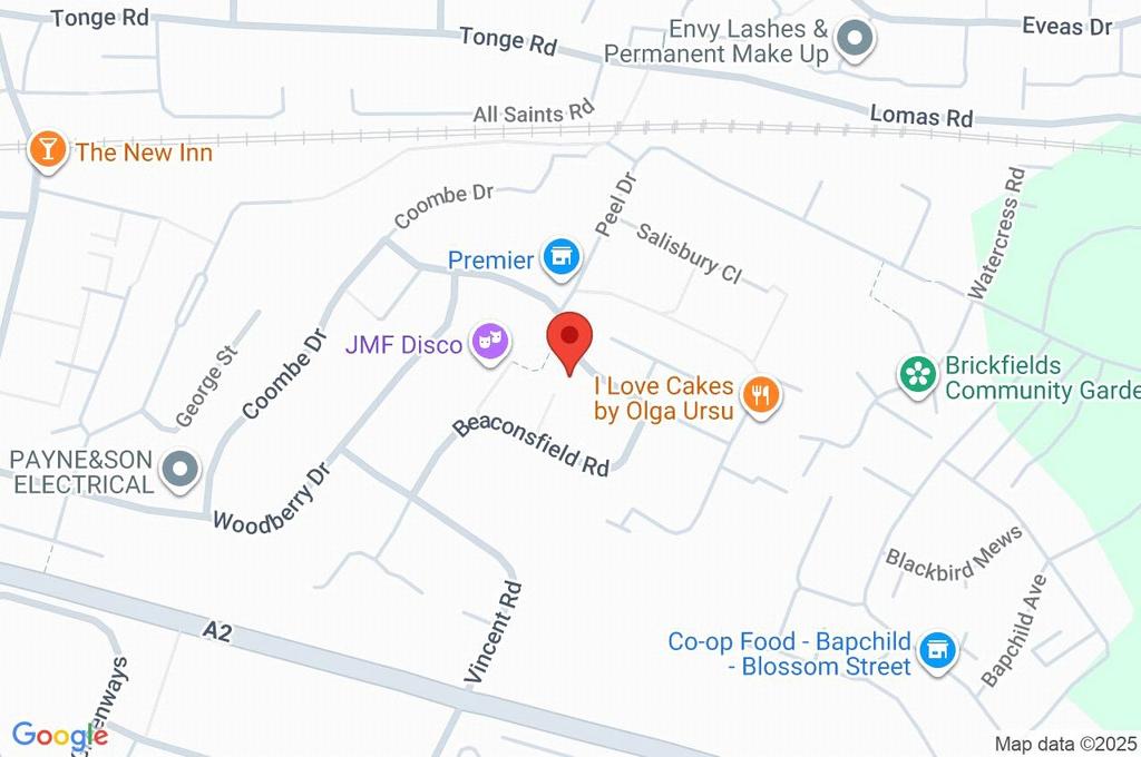Google Maps Image