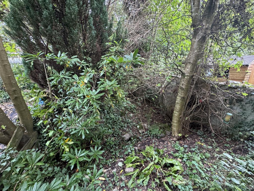 View of the rear garden