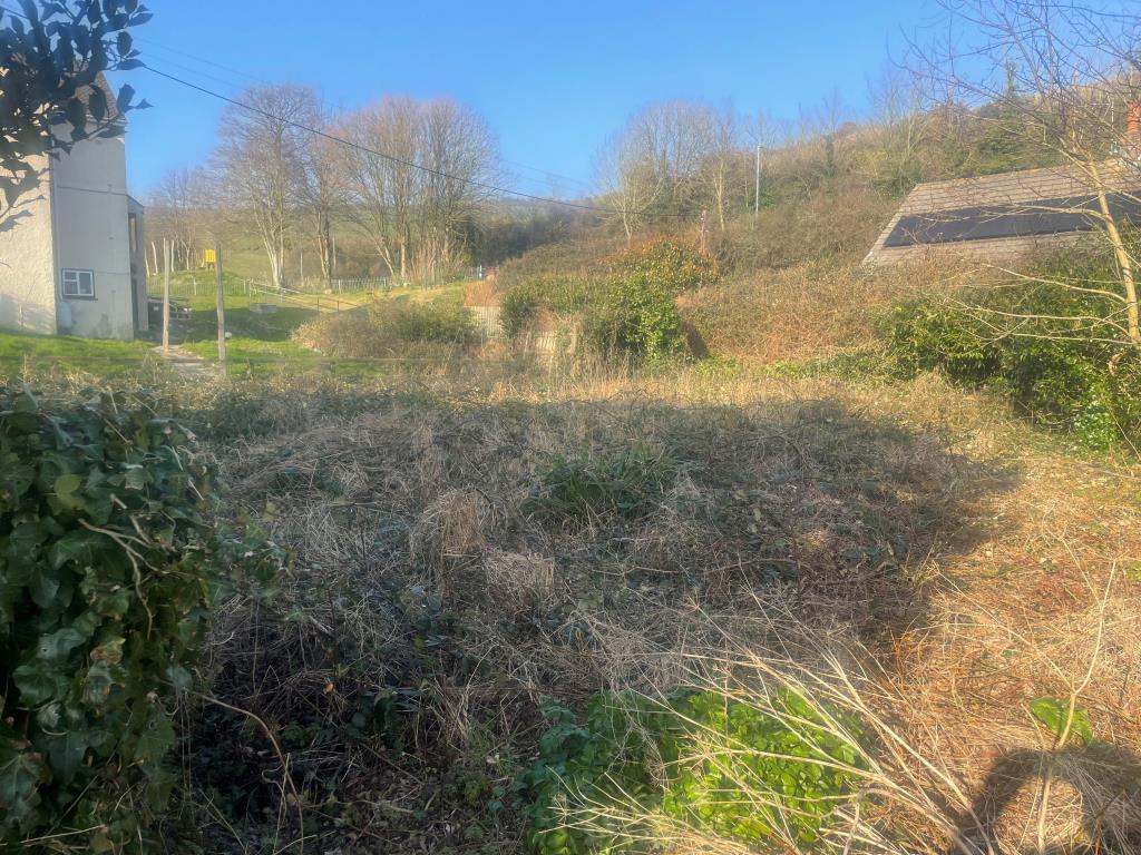 Overgrown land