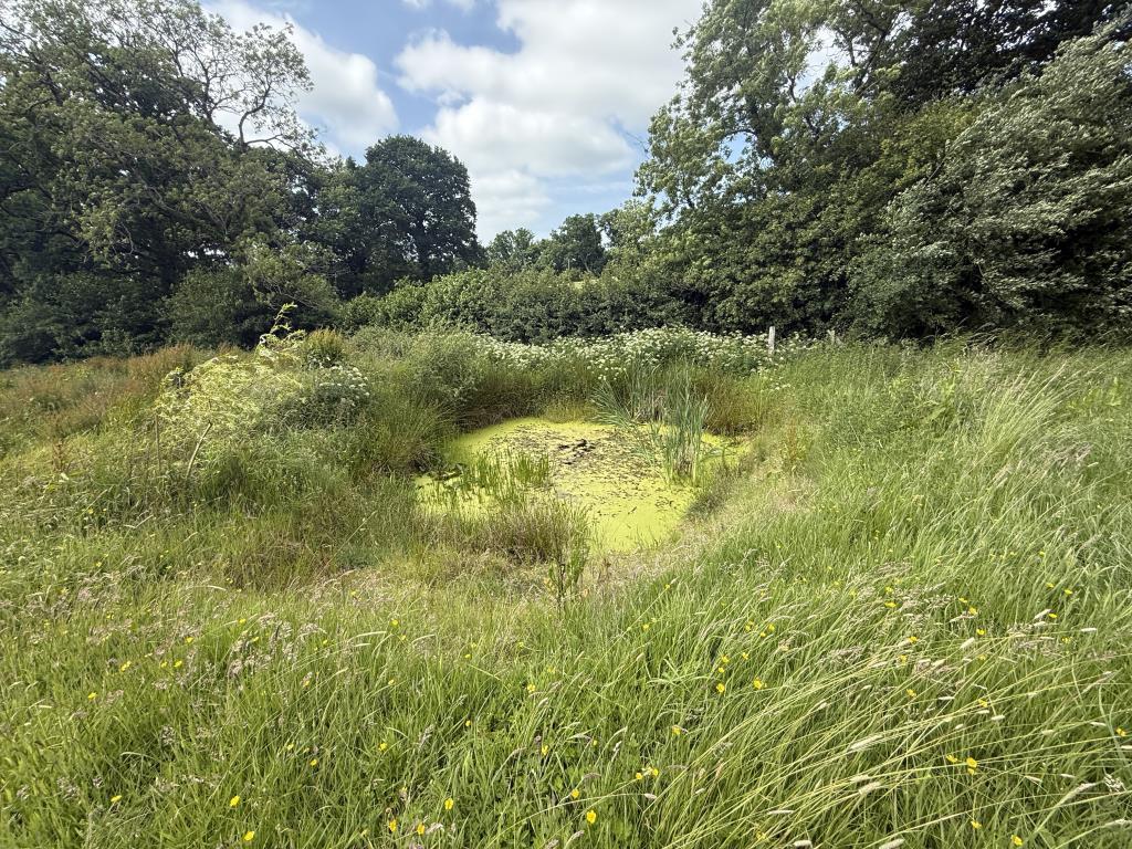 General view of Land showing pond