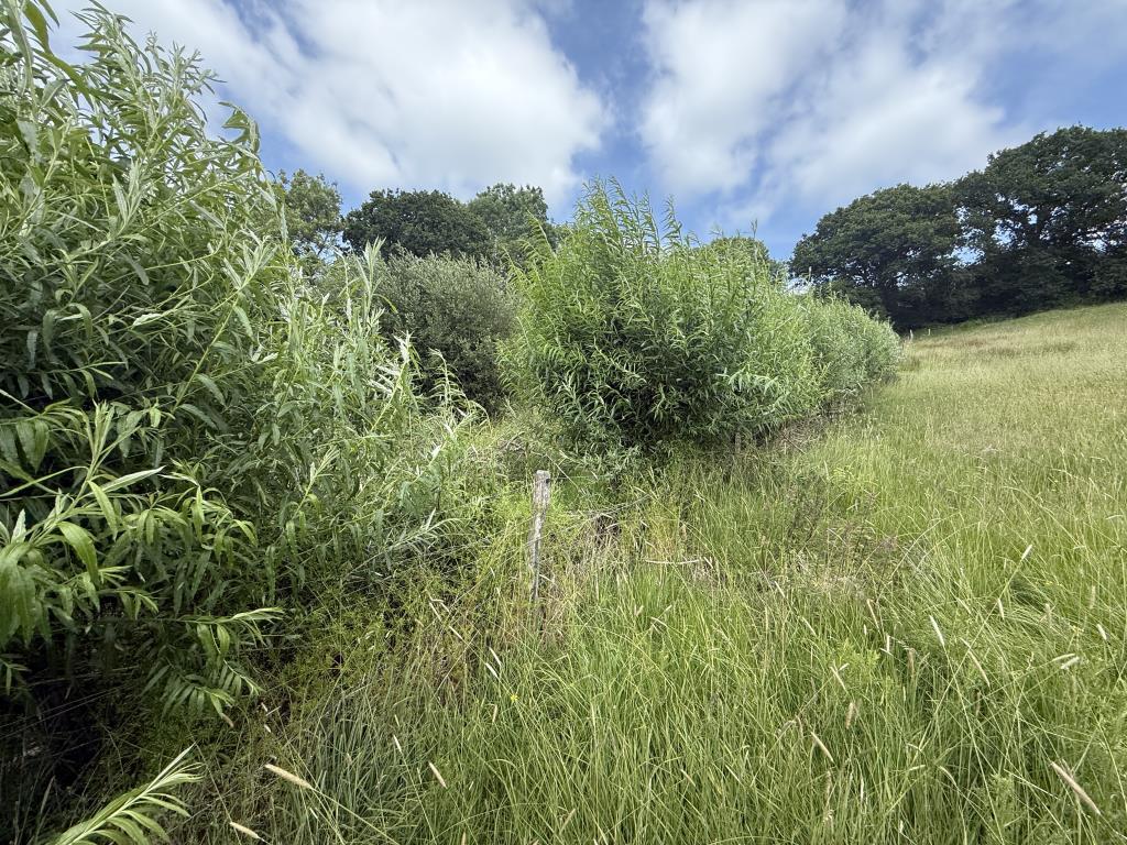 General view of Land showing woodland