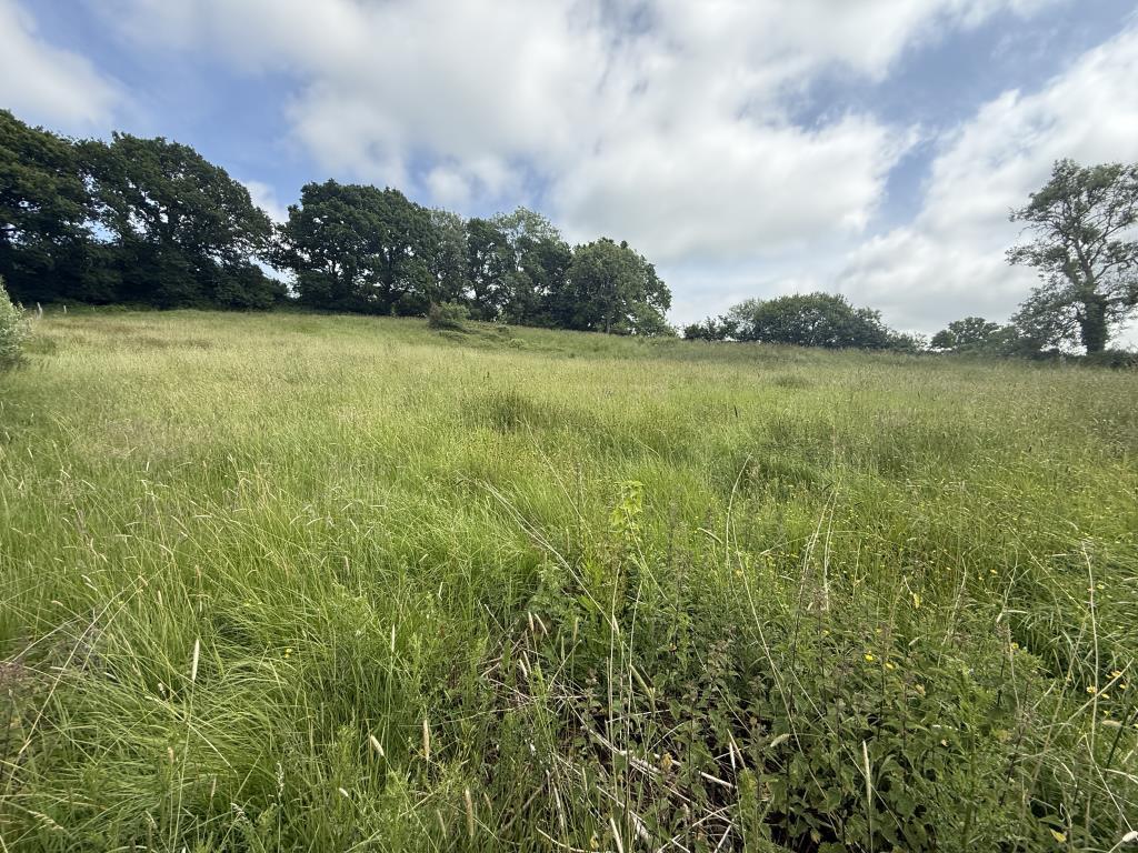 General view of meadow land