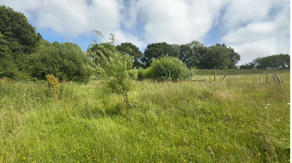 General view of field further view of woodland